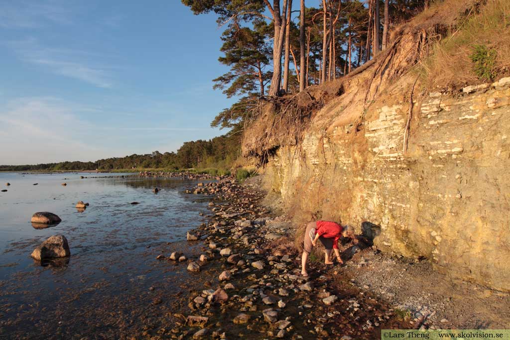 Märgel, Blåhäll, Gotland 