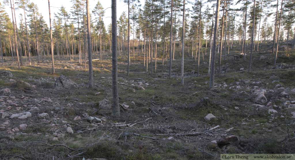 Morän nedanför glaciär