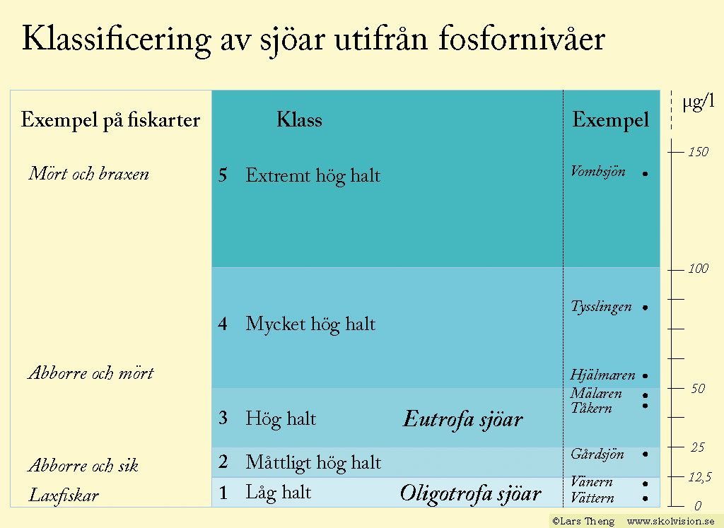 8 Fosfornivå