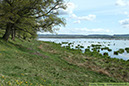 2 Eutrof sjö