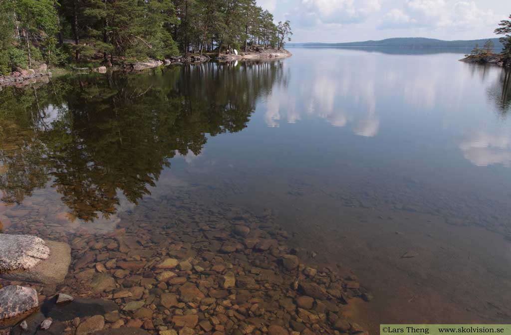 Oligotrof sjö