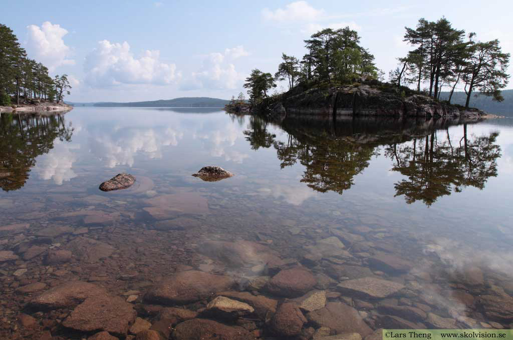 1 Oligotrof sjö
