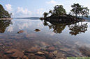1 Oligotrof sjö