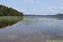 3 Oligotrof sjö
