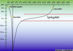 skiktning