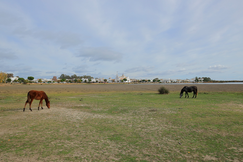 Thumbnail Image 1