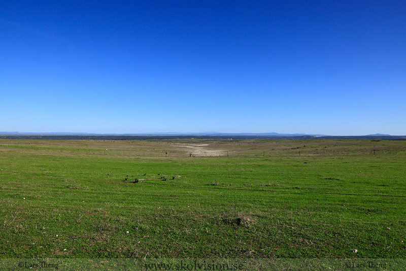 Thumbnail Image 1