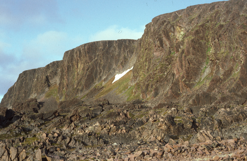 Thumbnail Image 1