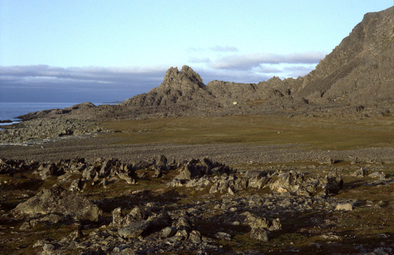 Thumbnail Image 1