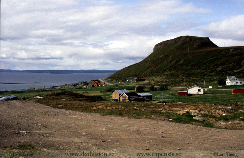 Thumbnail Image 1