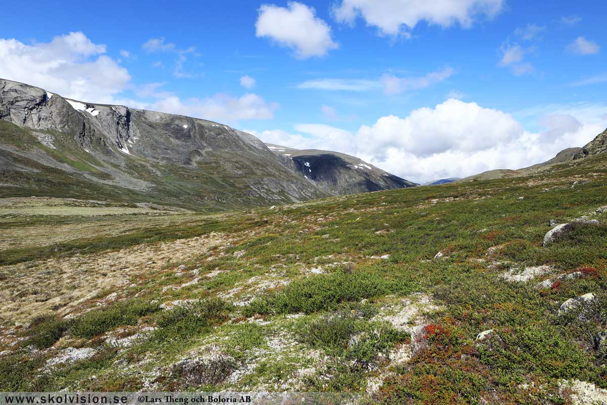 Fjäll Lars Theng