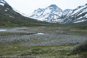 Jotunheimen