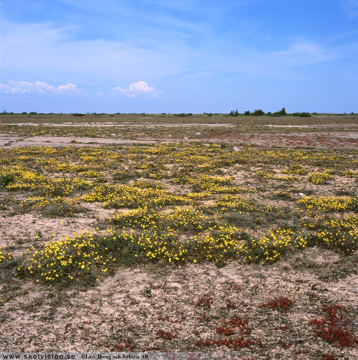 stora alvaret öland