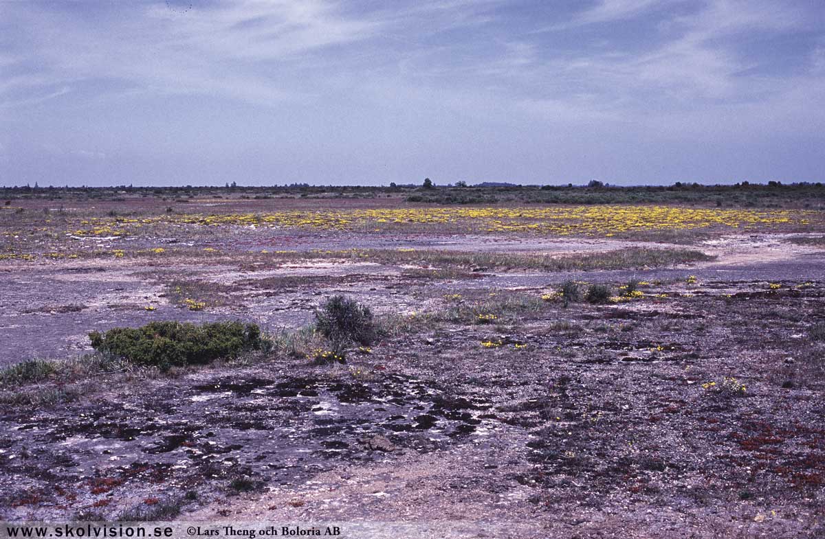 stora alvaret öland